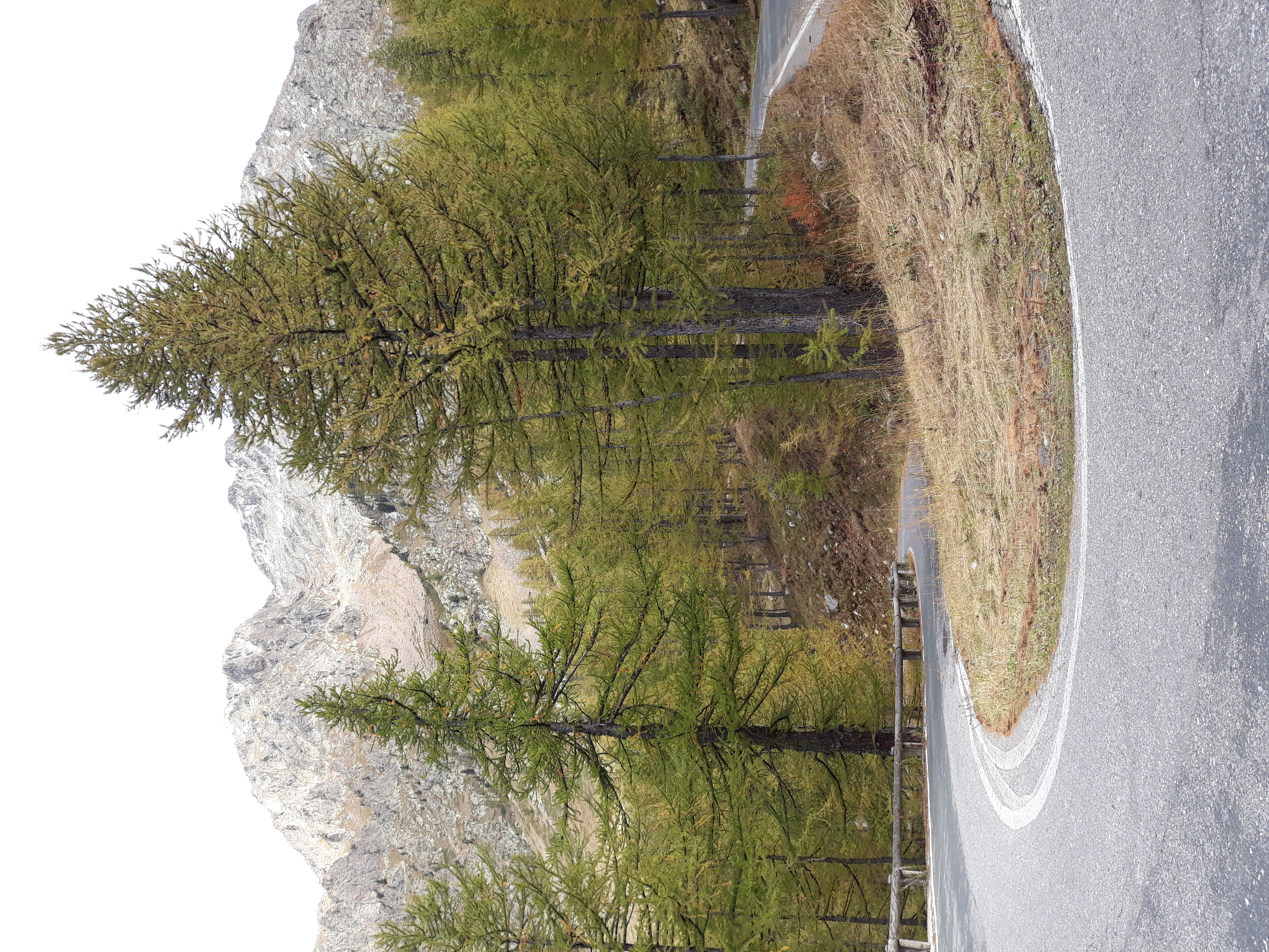  Colle della Lombarda, közel a csúcshoz, túratársat keresek