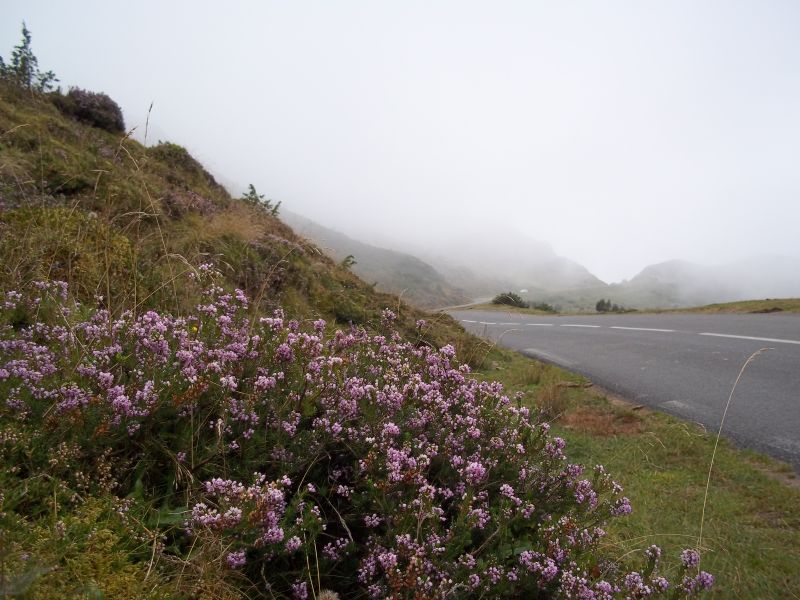 Col_du_Soulor_im_Nebel