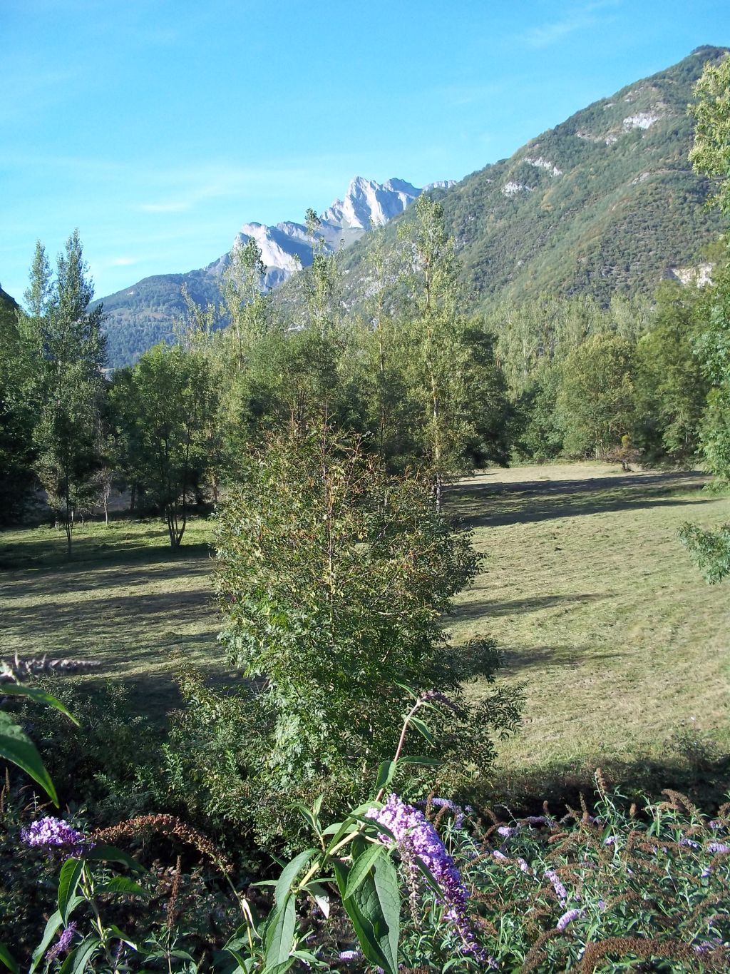Ausblick_aus_dem_Camping