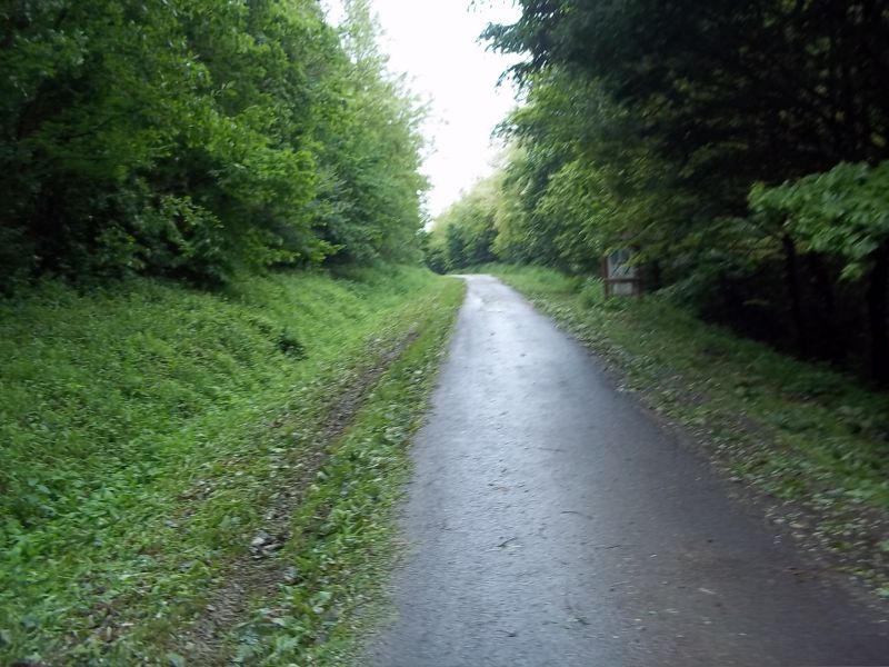 Zselic-2014