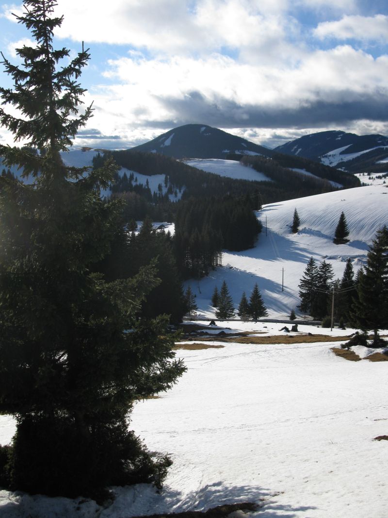 Sommeralm